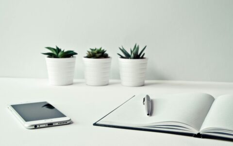 pexels nietjuhart 796602